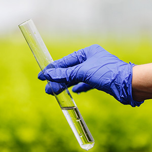 investigador-sostiene-tubo-ensayo-agua-mano-guante-azul