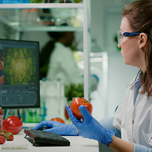 quimico-farmaceutico-examinando-tomate-experimento-microbiologia-escribiendo-informacion-medica